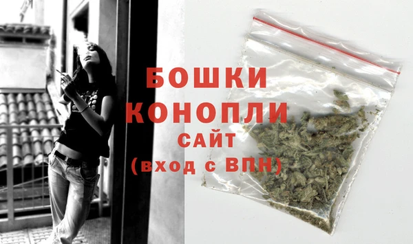 мдпв Осинники
